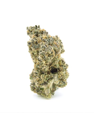 The Astronaut Top Flowers