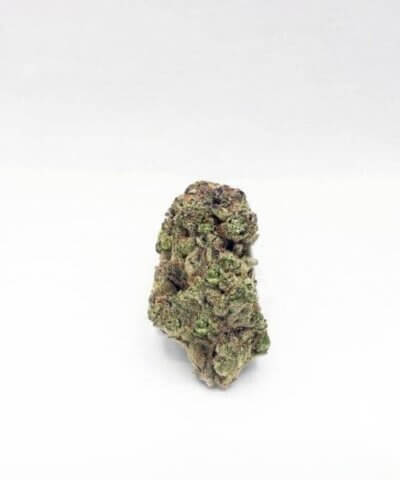 Candy WildBerries Premier Flowers