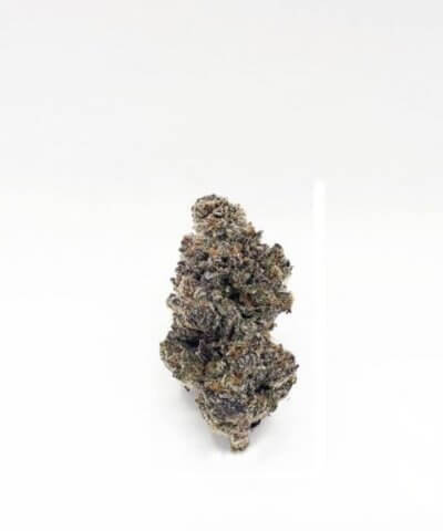 White Truffle Connoisseur Flowers