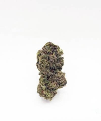 Larry Bird Select Flowers