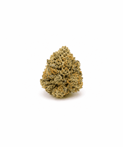 Guava Runtz Select Flowers