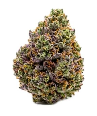 Strawberry Mango Haze Top Flowers