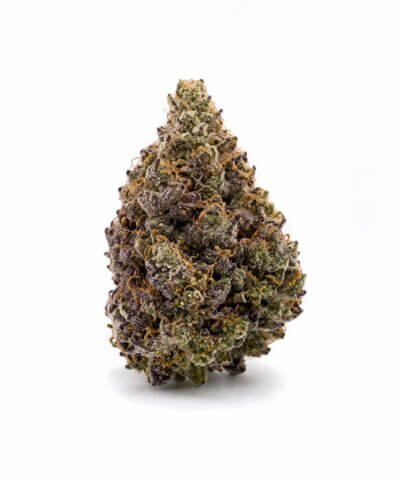 Lemon Cherry StarBurst Select Flowers