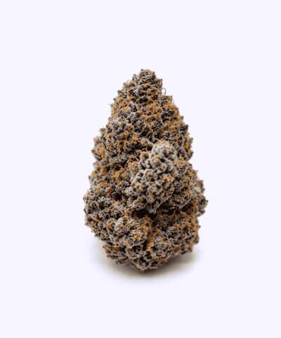 Super Runtz Top Flowers
