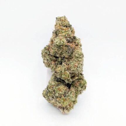 The Astronaut Top Flowers
