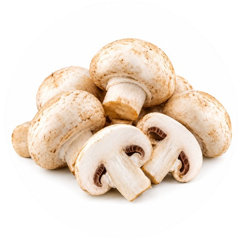 weed mushrooms